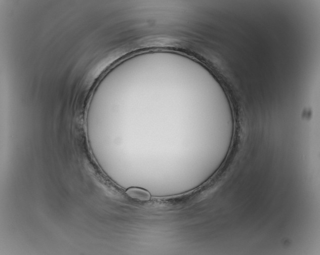 X0000113761073200910211204
