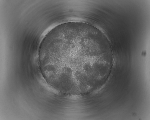 X0000113761074200910211204
