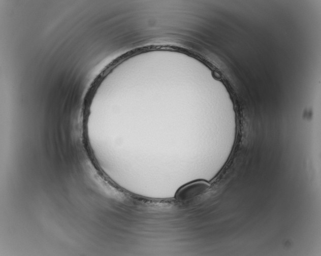 X0000113761076200910211204