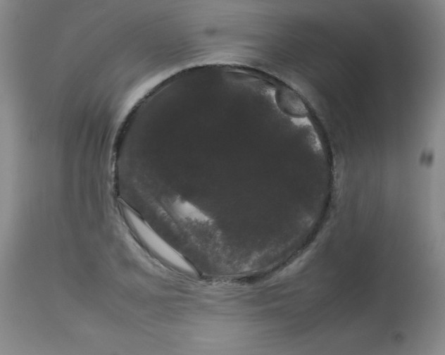 X0000113761077200910211204