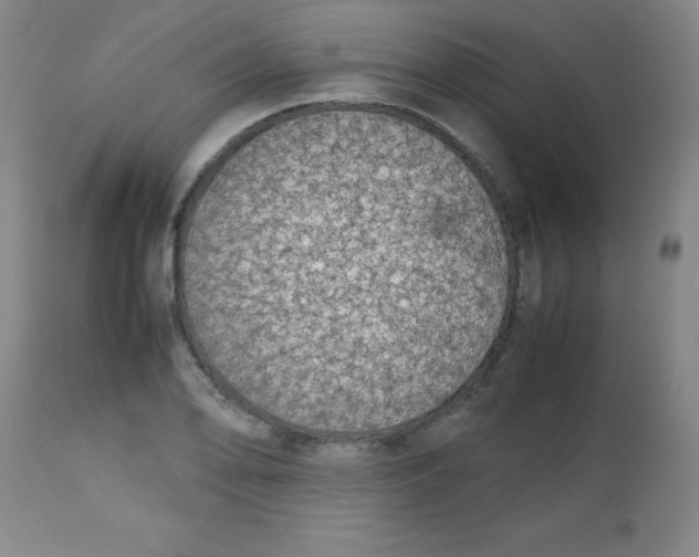 X0000113761078200910211204