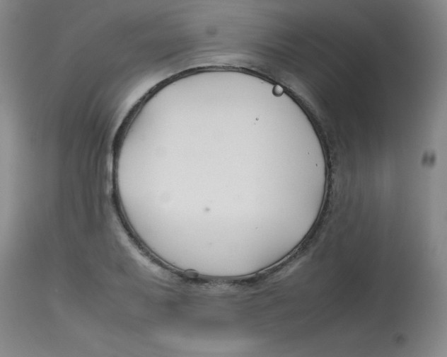 X0000113761079200910211204
