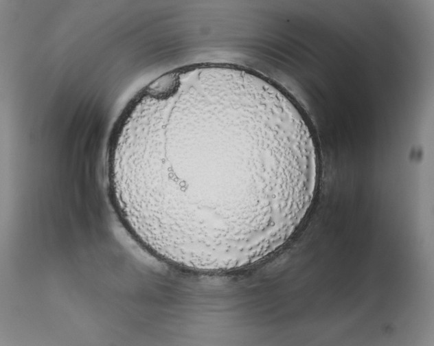 X0000113761080200910211204