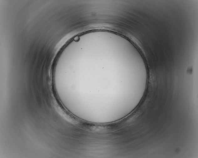 X0000113761082200910211204
