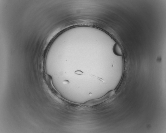X0000113761083200910211204