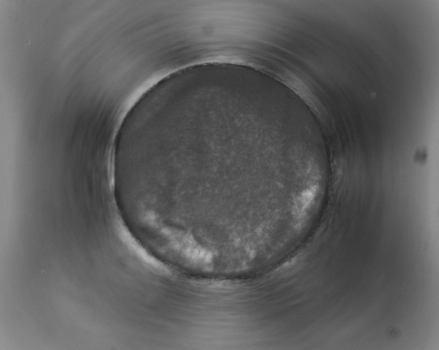 X0000113761084200910211204