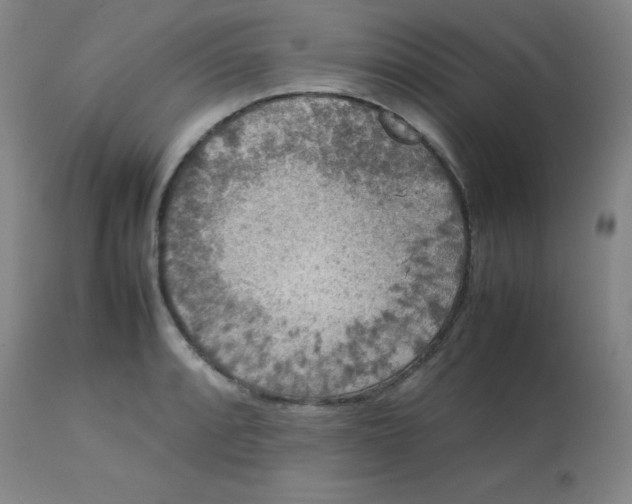 X0000113761088200910211204