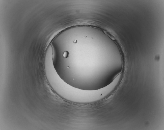 X0000113761089200910211204