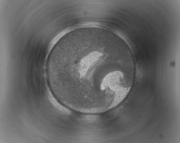 X0000113761090200910211204