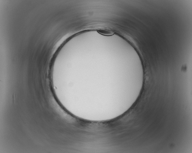 X0000113761091200910211204