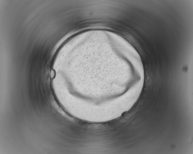 X0000113761092200910211204