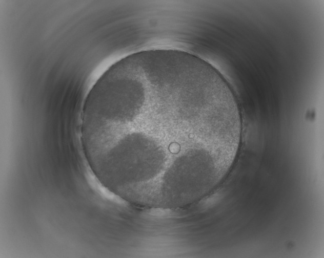 X0000113761094200910211204