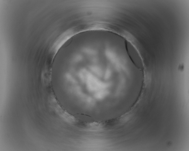 X0000113761097200910211203