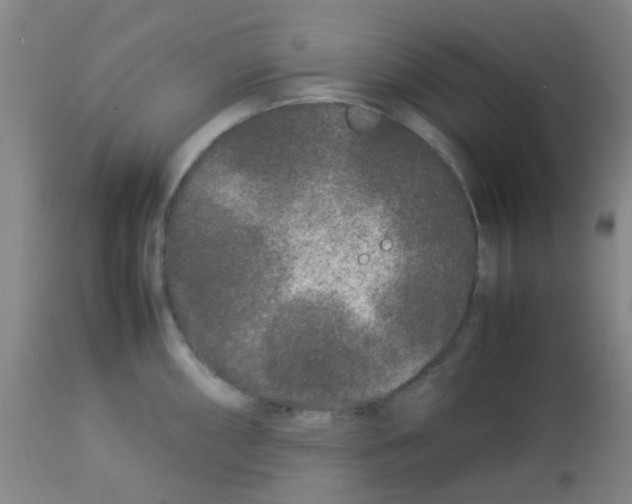 X0000113761098200910211203