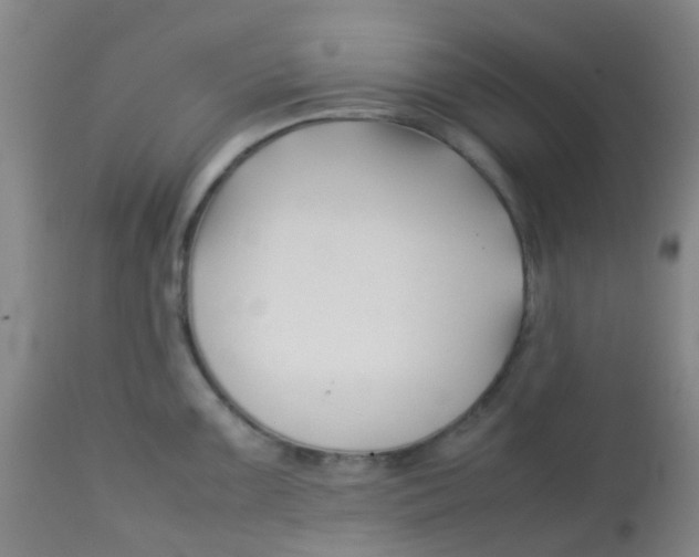 X0000113761099200910211203