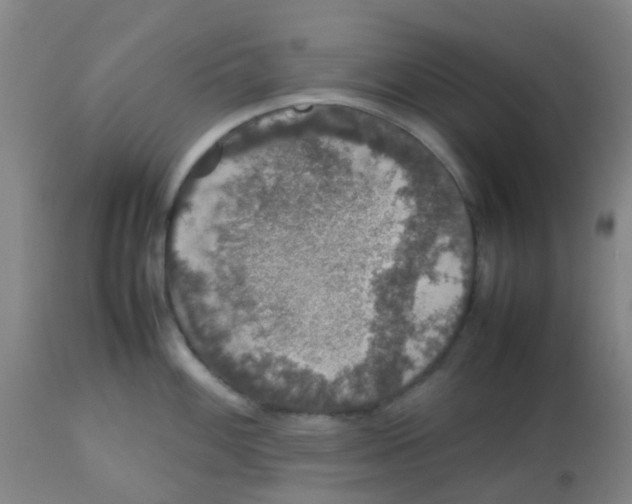 X0000113761100200910211203