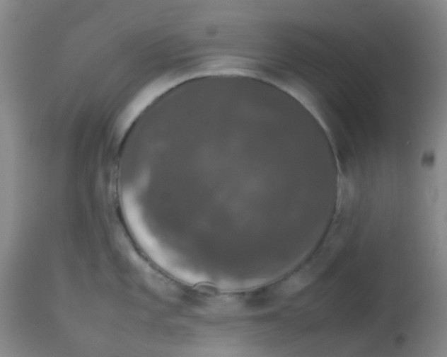 X0000113761101200910211203