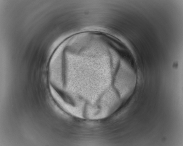 X0000113761102200910211203