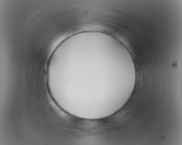 X0000113761103200910211203