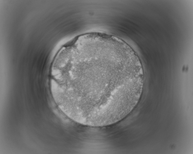 X0000113761104200910211203