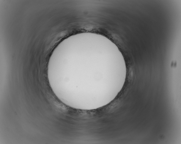 X0000113761105200910211203