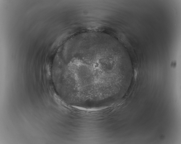 X0000113761106200910211203