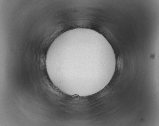 X0000113761107200910211203