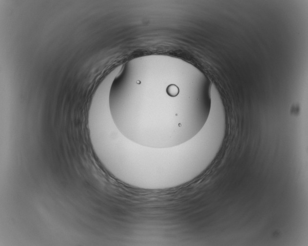 X0000113761108200910211203