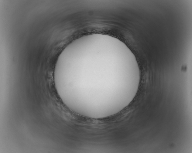 X0000113761109200910211203