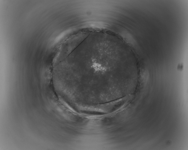 X0000113761110200910211203