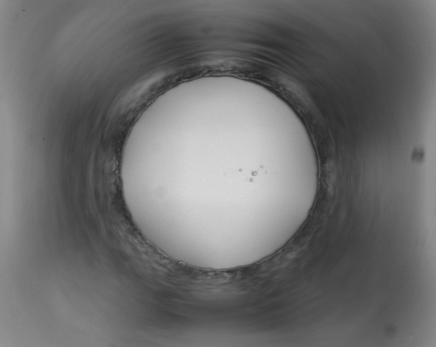 X0000113761111200910211203