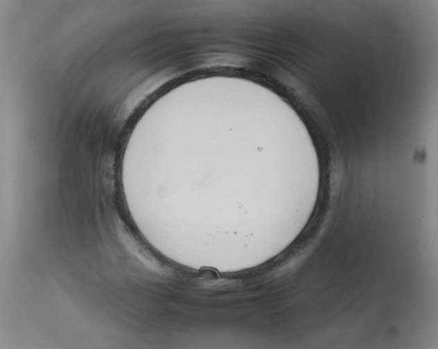 X0000113761113200910211203