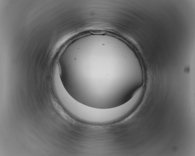 X0000113761114200910211203