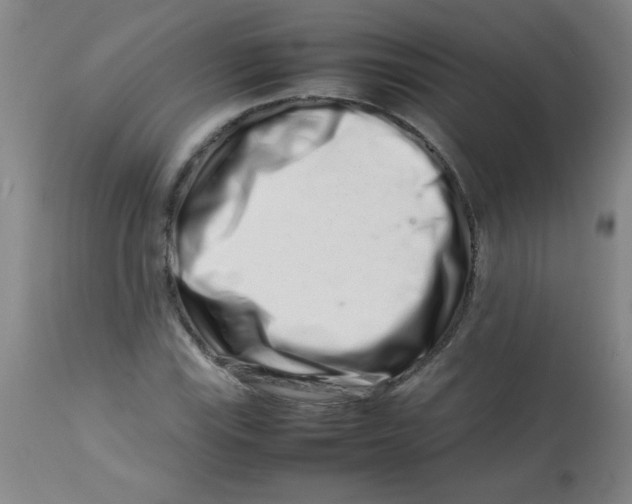 X0000113761115200910211203