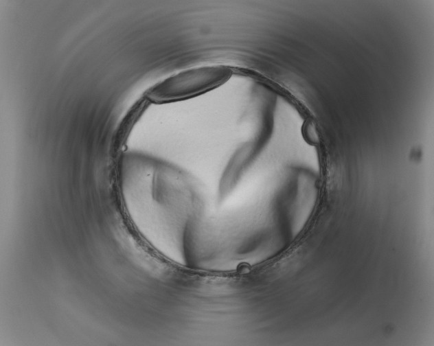 X0000113761116200910211203