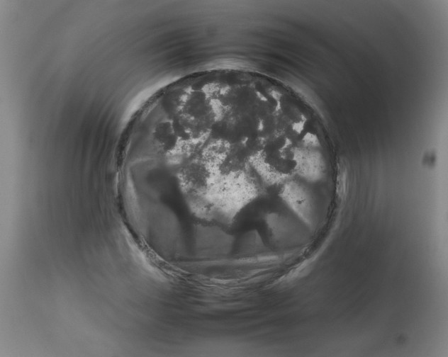 X0000113761117200910211203