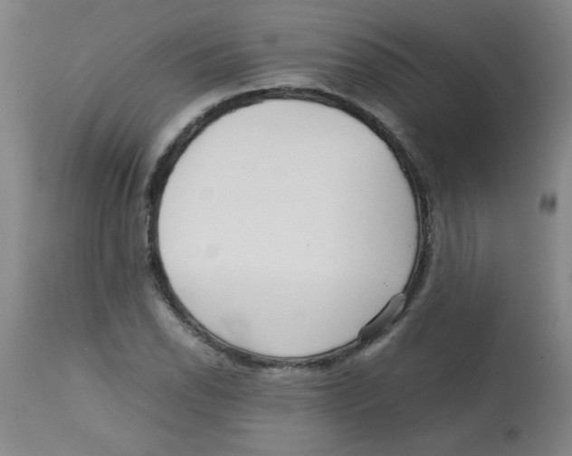 X0000113761118200910211203