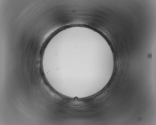 X0000113761119200910211203