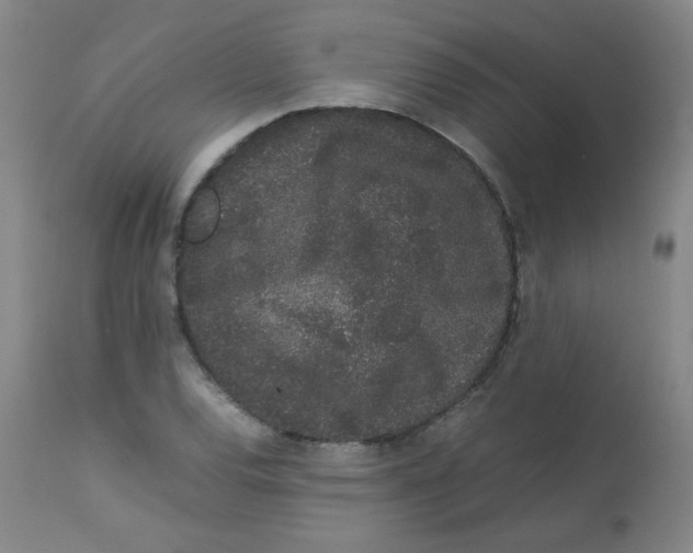 X0000113761120200910211203