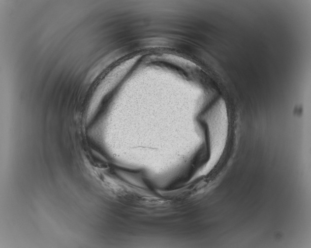 X0000113761121200910211203