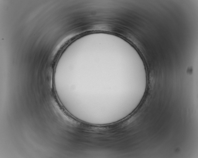 X0000113761123200910211203