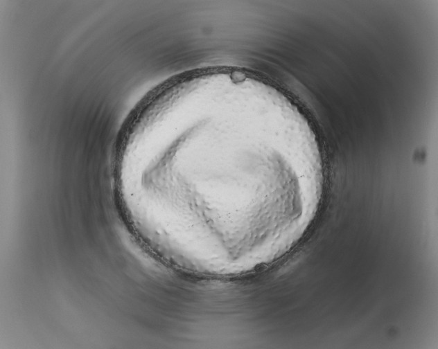 X0000113761124200910211203