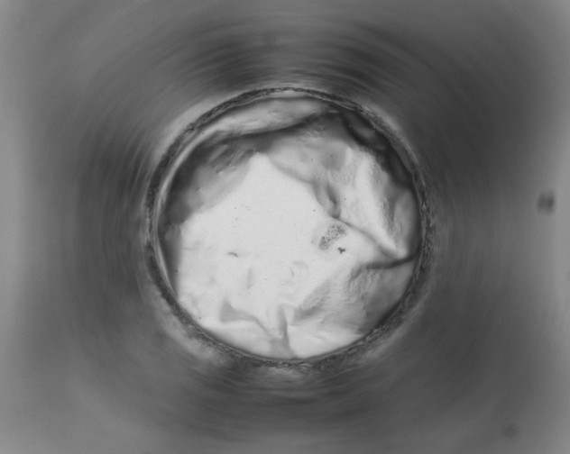 X0000113761125200910211203