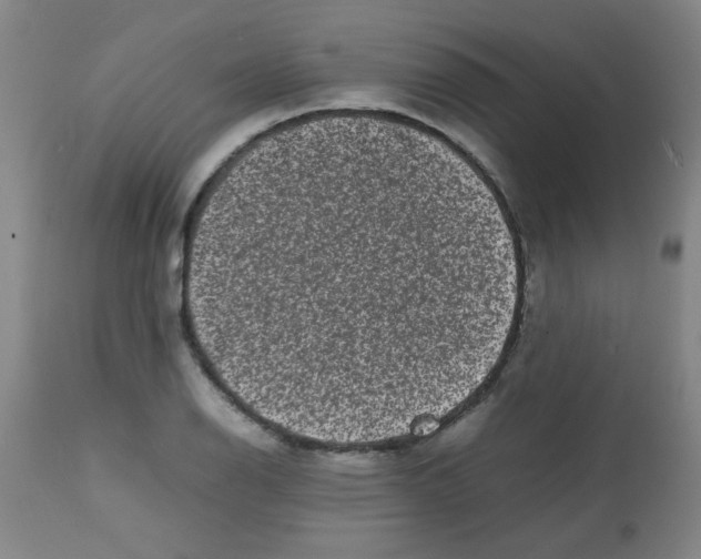 X0000113761126200910211203