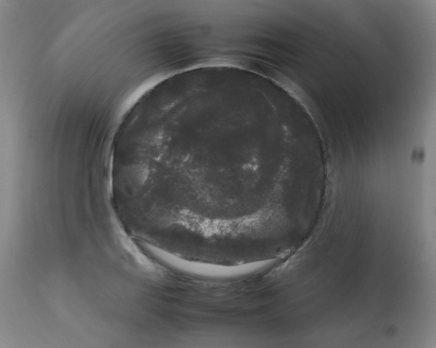 X0000113761127200910211203