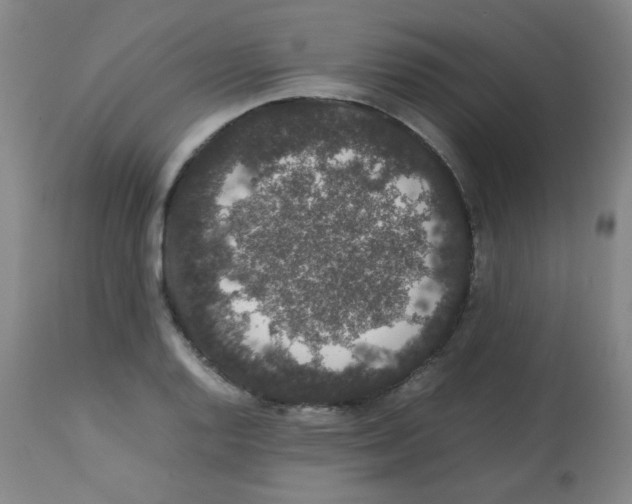 X0000113761128200910211203