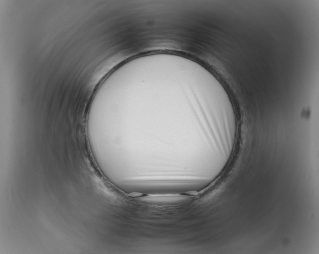 X0000113761129200910211203