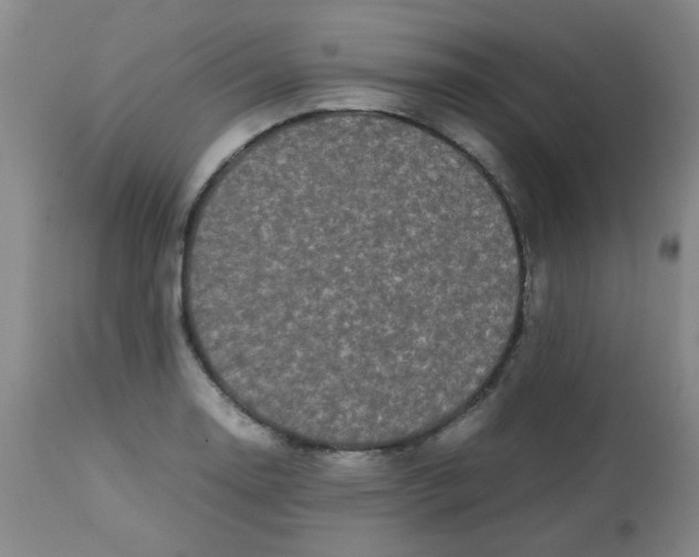 X0000113761130200910211203