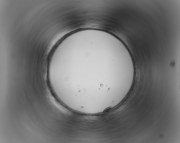 X0000113761131200910211203