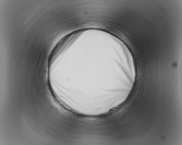 X0000113761132200910211203